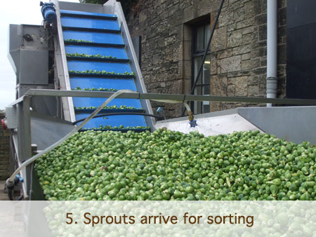 Mossborough Spouts