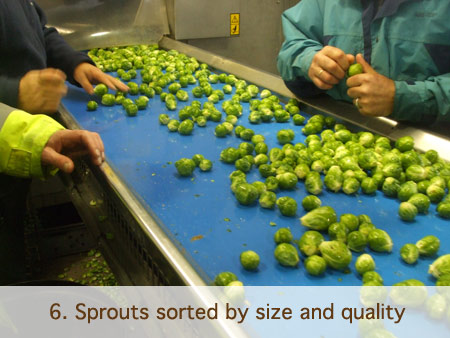 Mossborough Spouts