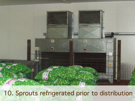 Mossborough Spouts