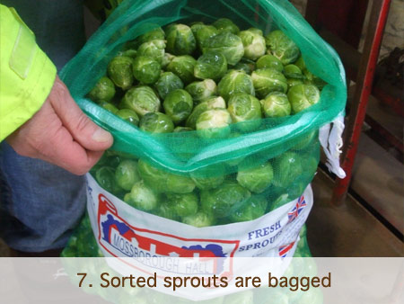 Mossborough Spouts
